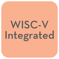 WISC-V Integrated